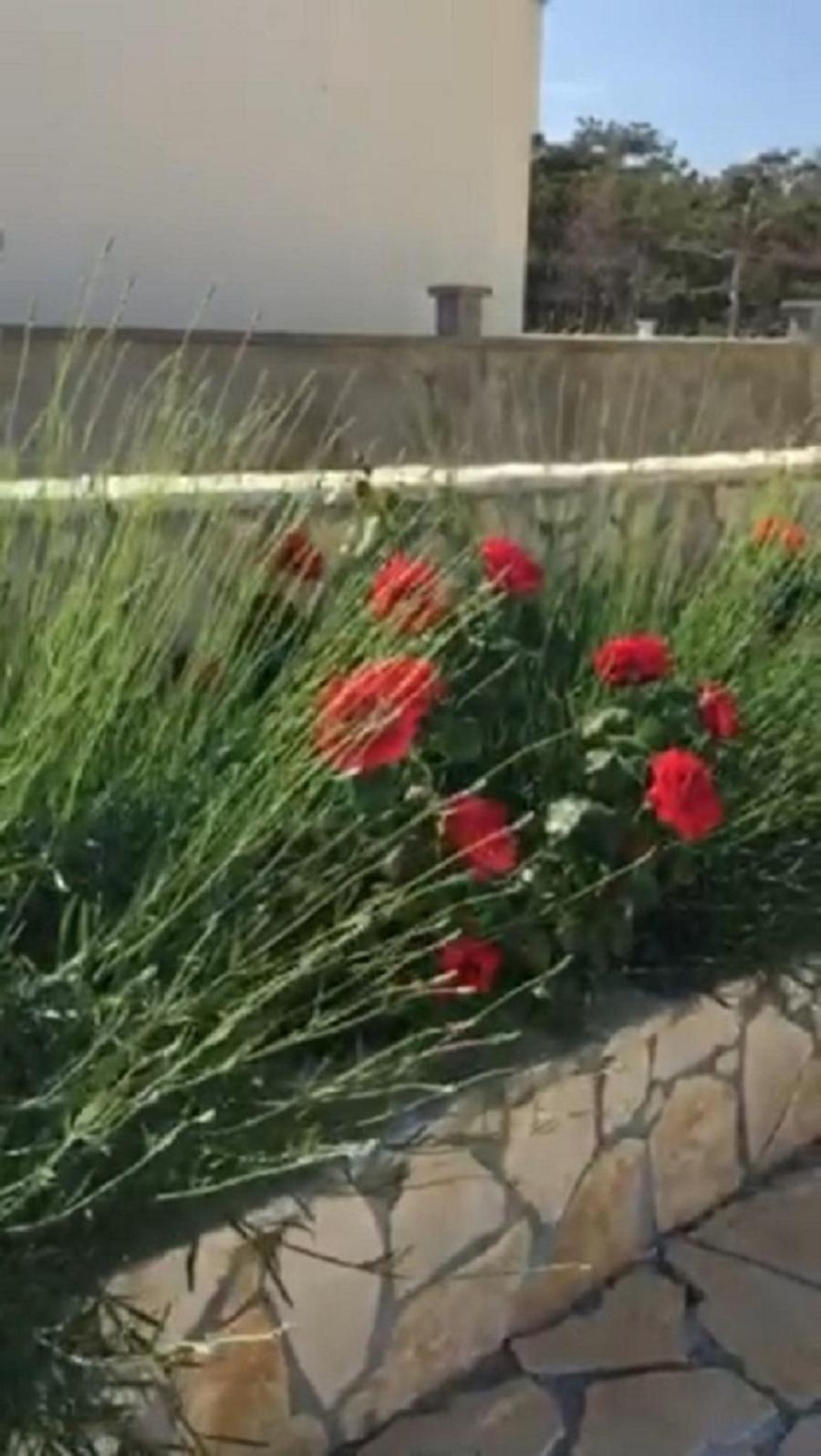 Miro Apartmani Ražanac Kültér fotó